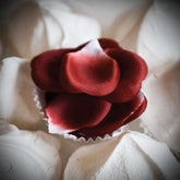 Bijoux Indiscrets Rose Petal Explosion Sex Pheromones and Perfumes